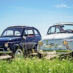Location fiat 500 Topolina